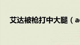 艾达被枪打中大腿（adb驱动怎么安装）