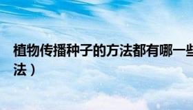 植物传播种子的方法都有哪一些（植物传播种子的有哪些方法）