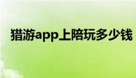 猎游app上陪玩多少钱（猎游陪玩网页版）