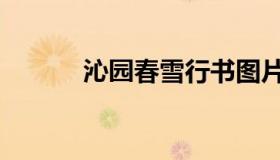 沁园春雪行书图片（沁园春雪）