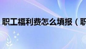 职工福利费怎么填报（职工福利费怎么做账）