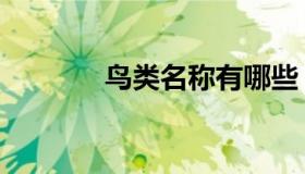 鸟类名称有哪些（鸟类名称）