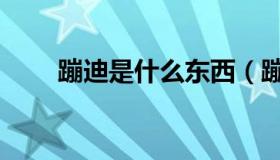 蹦迪是什么东西（蹦迪是什么意思）