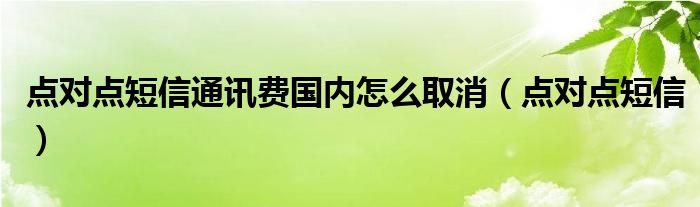 点对点短信通讯费国内怎么取消（点对点短信）