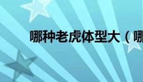 哪种老虎体型大（哪种老虎最厉害）