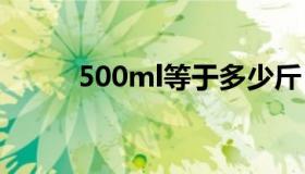 500ml等于多少斤（500丁简历）