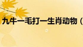 九牛一毛打一生肖动物（九牛一毛打一生肖）