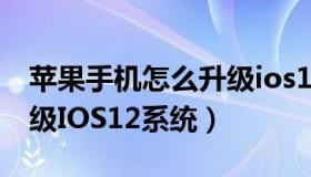 苹果手机怎么升级ios13.3（苹果手机怎么升级IOS12系统）