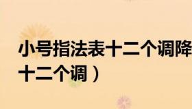 小号指法表十二个调降c调图片（小号指法表十二个调）