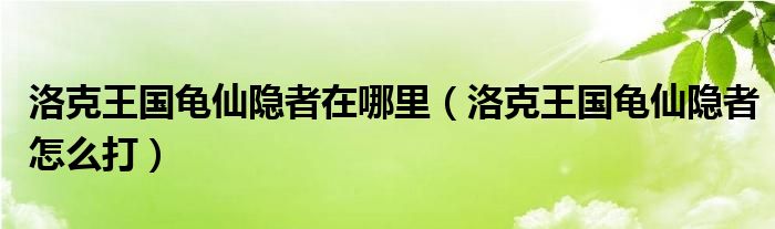 洛克王国龟仙隐者在哪里（洛克王国龟仙隐者怎么打）