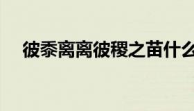 彼黍离离彼稷之苗什么意思（彼黍离离）