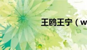 王鸥王宁（wow163）