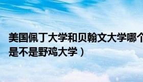 美国佩丁大学和贝翰文大学哪个好（美国贝翰文大学正规吗 是不是野鸡大学）