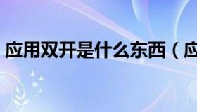 应用双开是什么东西（应用双开是什么意思）