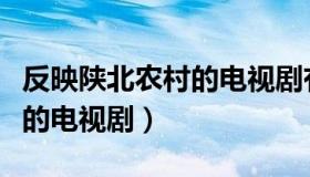 反映陕北农村的电视剧有哪些（反映陕北农村的电视剧）