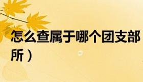 怎么查属于哪个团支部（怎么查属于哪个派出所）