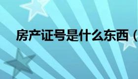 房产证号是什么东西（房产证号是什么）