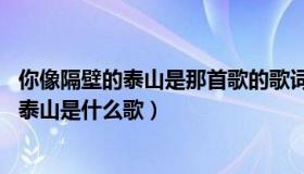 你像隔壁的泰山是那首歌的歌词（隔壁泰山歌词 我是隔壁的泰山是什么歌）