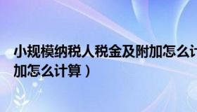 小规模纳税人税金及附加怎么计算（小规模纳税人税金及附加怎么计算）
