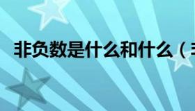 非负数是什么和什么（非负数是什么意思）