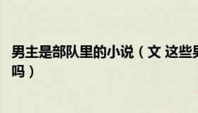 男主是部队里的小说（文 这些男主是军人的军旅小说你看过吗）