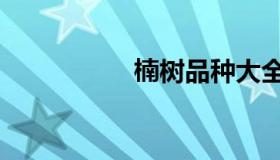 楠树品种大全（楠树）