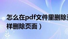怎么在pdf文件里删除页（在pdf文件里面怎样删除页面）