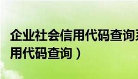 企业社会信用代码查询系统入口（企业社会信用代码查询）