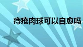 痔疮肉球可以自愈吗（痔疮肉球图片）