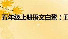 五年级上册语文白鹭（五年级上册语文白鹭）