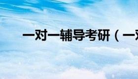 一对一辅导考研（一对一辅导的优势）