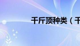 千斤顶种类（千斤顶种类）
