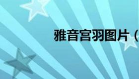 雅音宫羽图片（雅音宫羽）