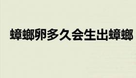蟑螂卵多久会生出蟑螂（蟑螂卵多久孵化）