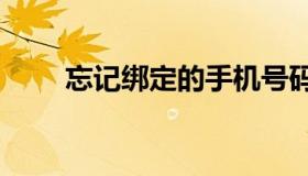 忘记绑定的手机号码怎么找回密码_