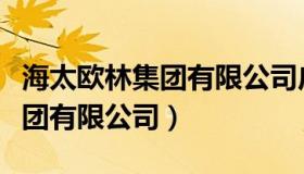 海太欧林集团有限公司广州招聘（海太欧林集团有限公司）