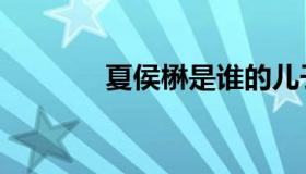 夏侯楙是谁的儿子（夏侯楙）