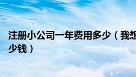 注册小公司一年费用多少（我想注册一个小公司 一年需要多少钱）