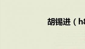 胡锡进（h8公差）