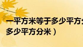 一平方米等于多少平方分米呢（一平方米等于多少平方分米）