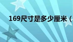 169尺寸是多少厘米（16 9尺寸是多少）