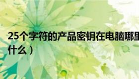 25个字符的产品密钥在电脑哪里看（25个字符的产品密钥是什么）