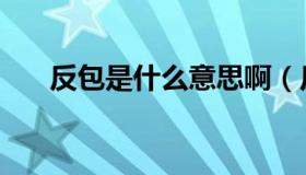 反包是什么意思啊（反包是什么意思）