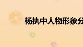 杨执中人物形象分析（杨执中）