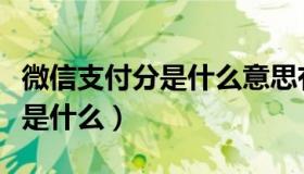 微信支付分是什么意思有风险吗（微信支付分是什么）