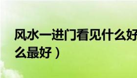 风水一进门看见什么好（风水 一进门看见什么最好）