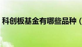 科创板基金有哪些品种（科创板基金有哪些）