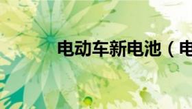 电动车新电池（电动车新标准）