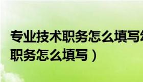 专业技术职务怎么填写幼儿园教师（专业技术职务怎么填写）