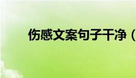 伤感文案句子干净（伤感文案句子）